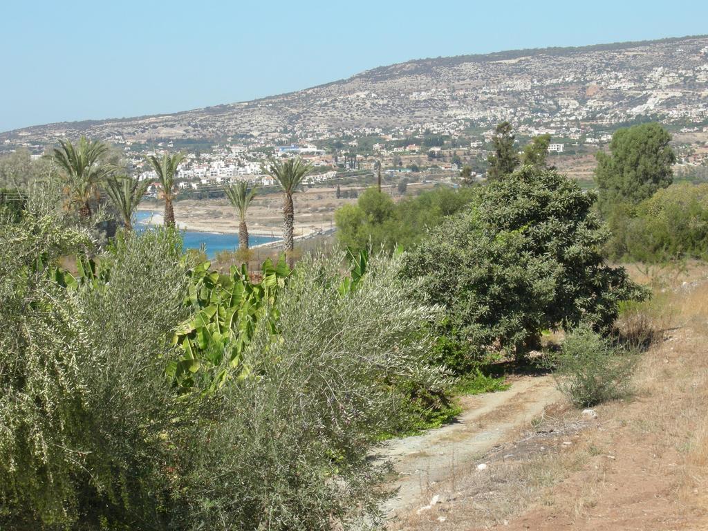 Villa Despoina Paphos Luaran gambar